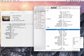 Invisor for Mac(多媒体文件信息查看工具)