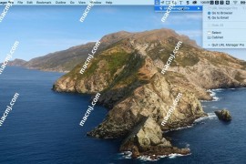 URL Manager Pro for Mac(浏览器标签管理应用)