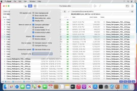Naarak Studio DirEqual for Mac(文件夹比较工具)