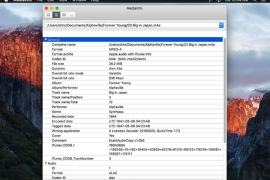 MediaInfo &#8211; 音视频信息提取工具