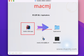 IntelliJ IDEA 2024 for Mac(Java语言开发集成环境)