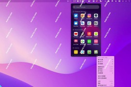 menubarx for mac( Mac菜单栏浏览器)