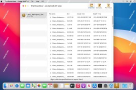 The Unarchiver Unzip RAR ZIP for mac(解压缩软件)