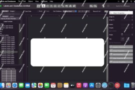 Labels and Databases for Mac( 数据库标签制作软件)