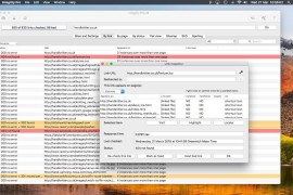 Integrity Pro for mac &#8211; 网站死链接清理工具