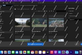 Premiere Pro 2024 for Mac(PR 2024视频编辑软件)