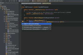 JetBrains PhpStorm 2024 for Mac(PHP集成开发)