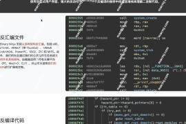 Binary Ninja for Mac(功能强大且操作简便的逆向编译工具)