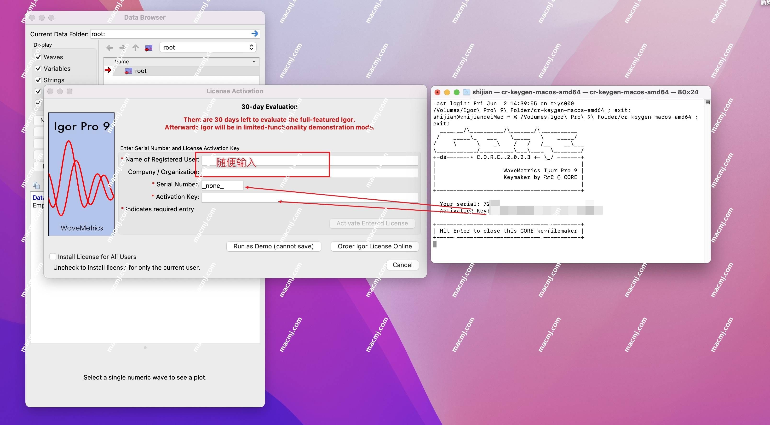 WaveMetrics Igor Pro 9 for Mac(科学计算和数据分析软件)