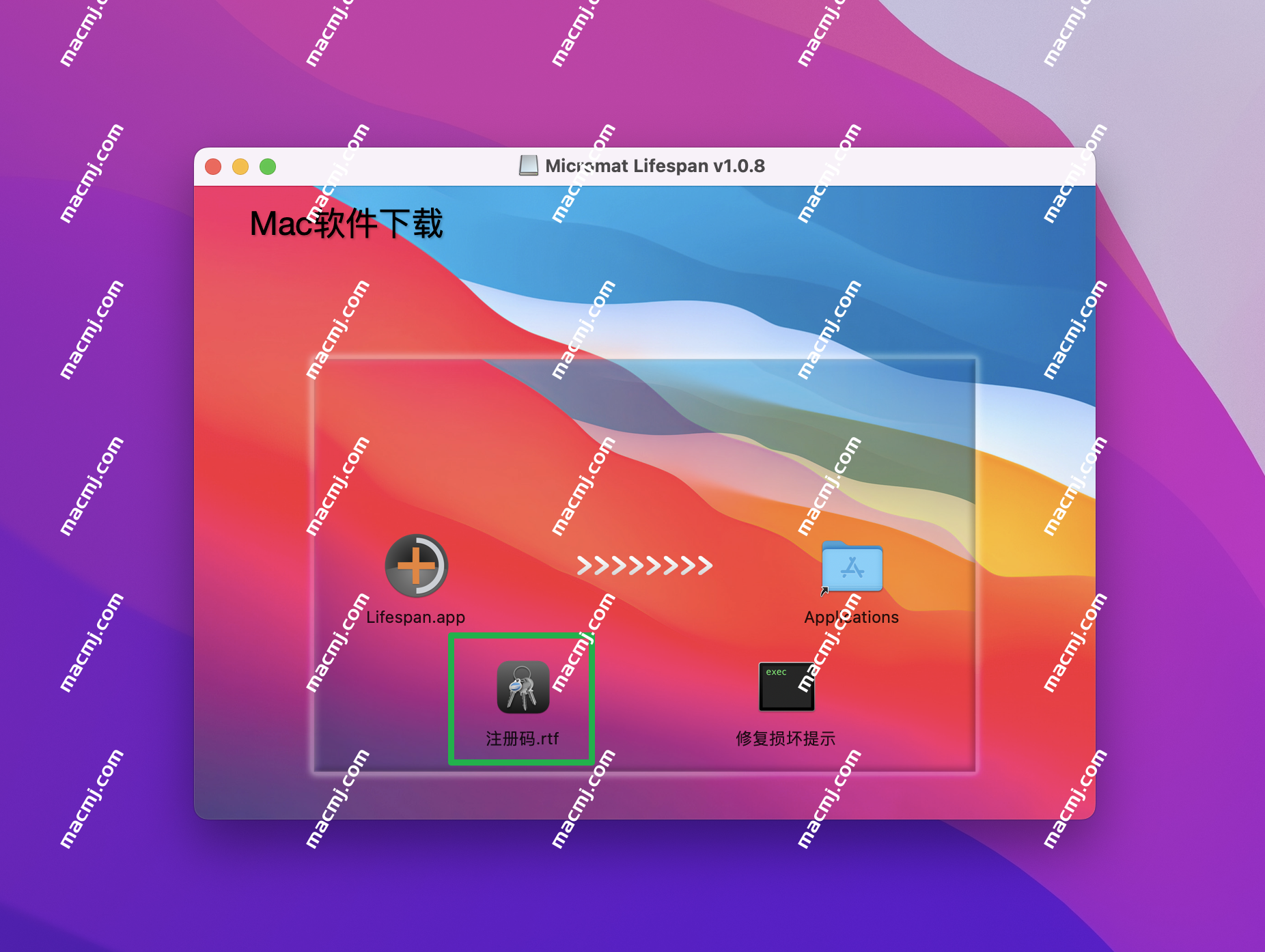 Micromat Lifespan for mac(系统内存测试工具)