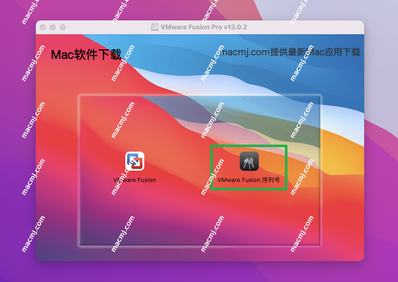 VMware Fusion Pro 13 for Mac(VM虚拟机)