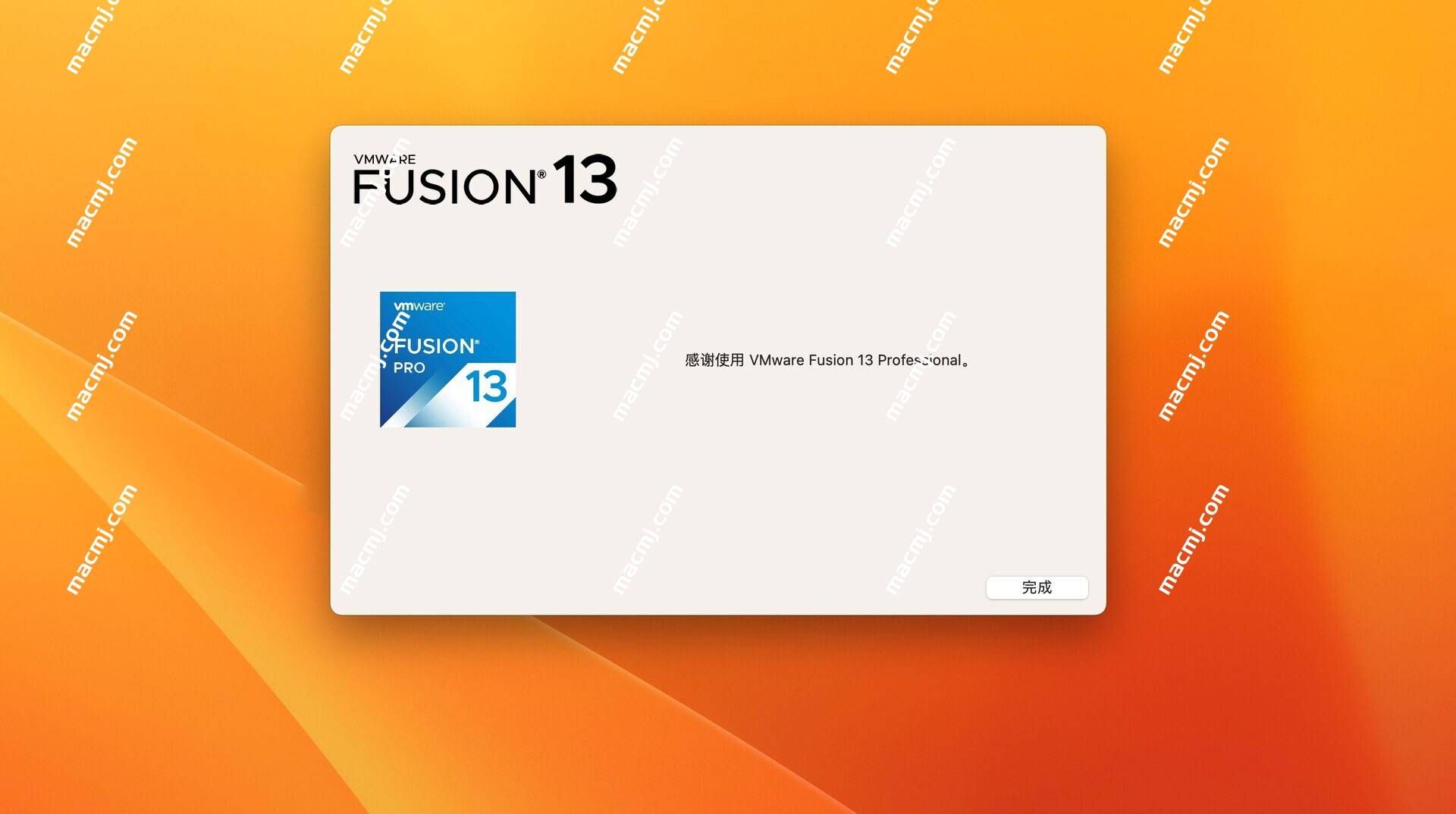 VMware Fusion Pro 13 for Mac(VM虚拟机)