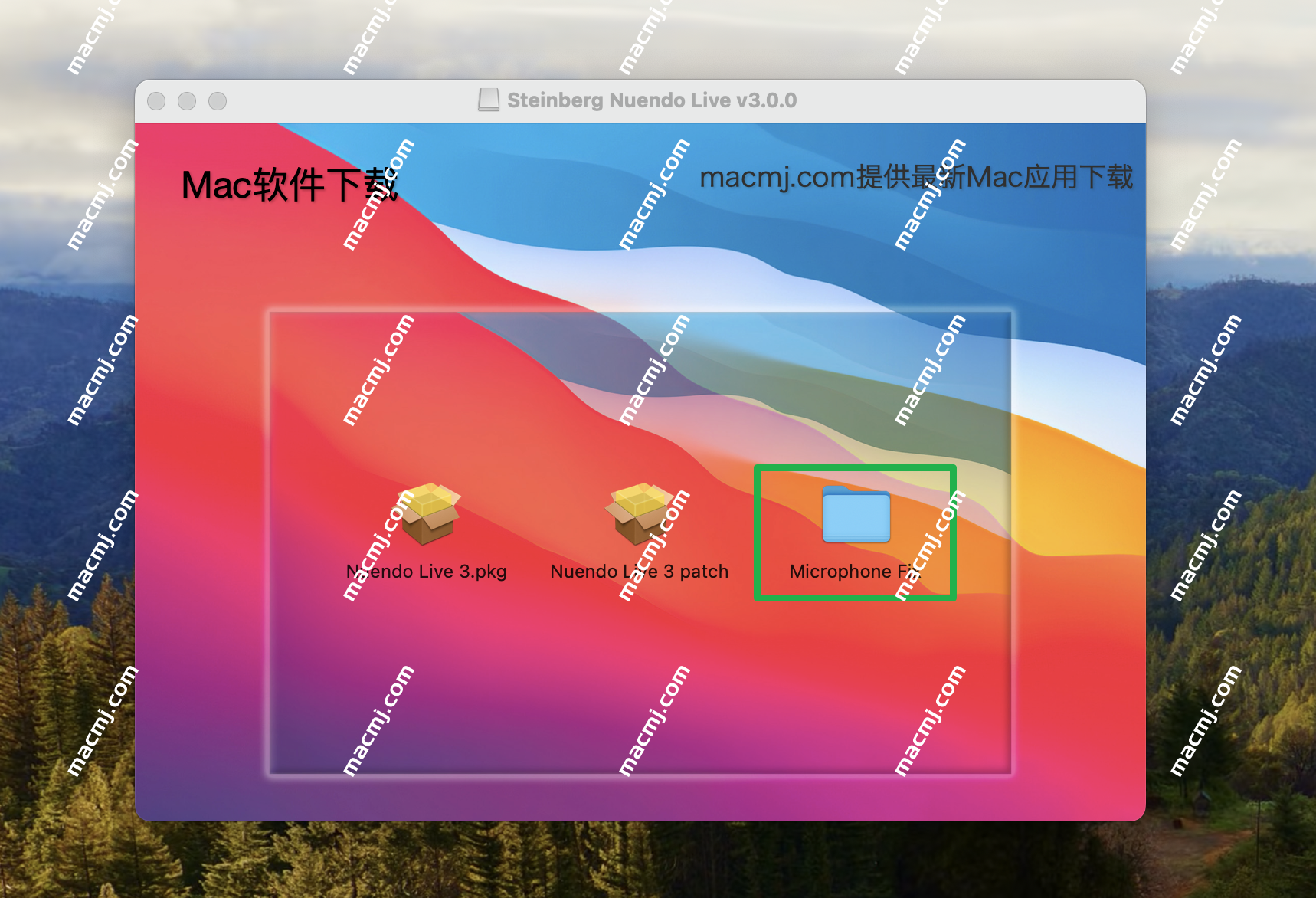 Steinberg Nuendo Live for mac(现场音乐会音频处理)