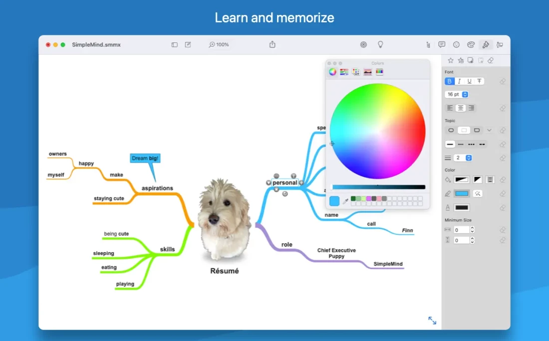 Simplemind pro for mac &#8211; 思维导图软件