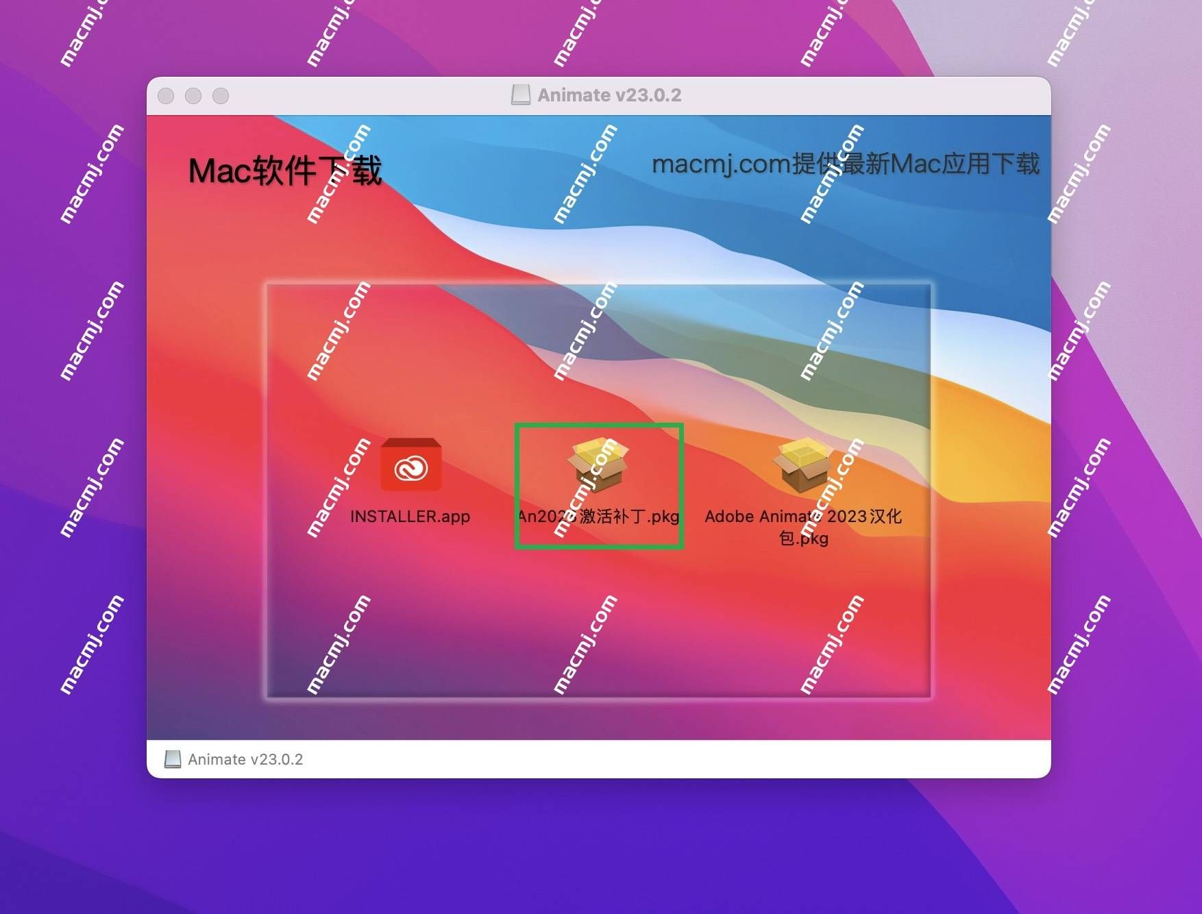 Animate 2024 for mac(An2024下载)