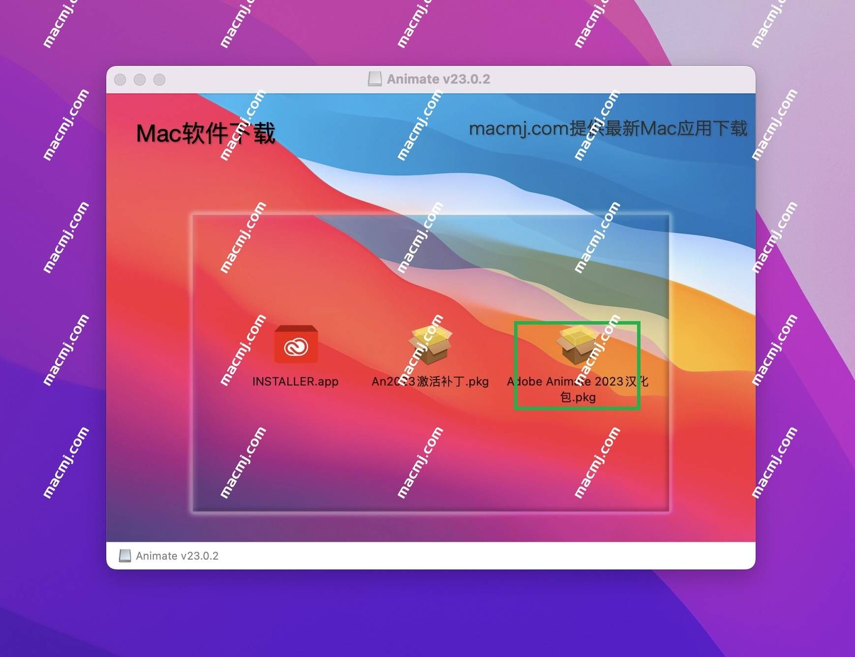 Animate 2024 for mac(An2024下载)