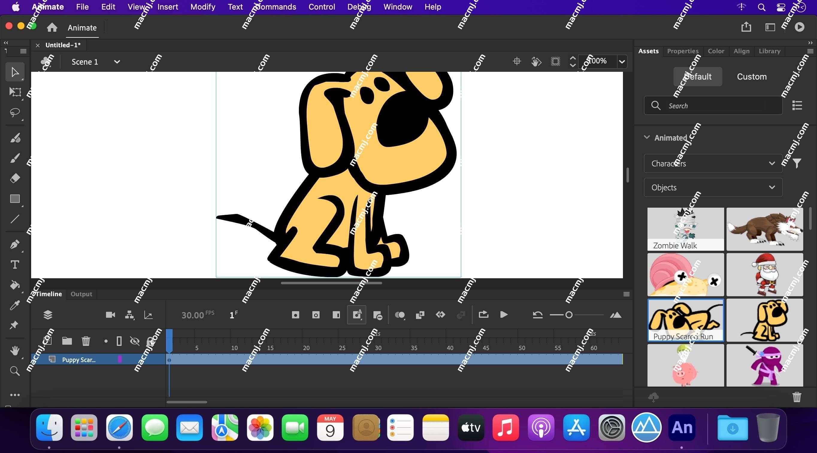 Animate 2024 for mac(An2024下载)