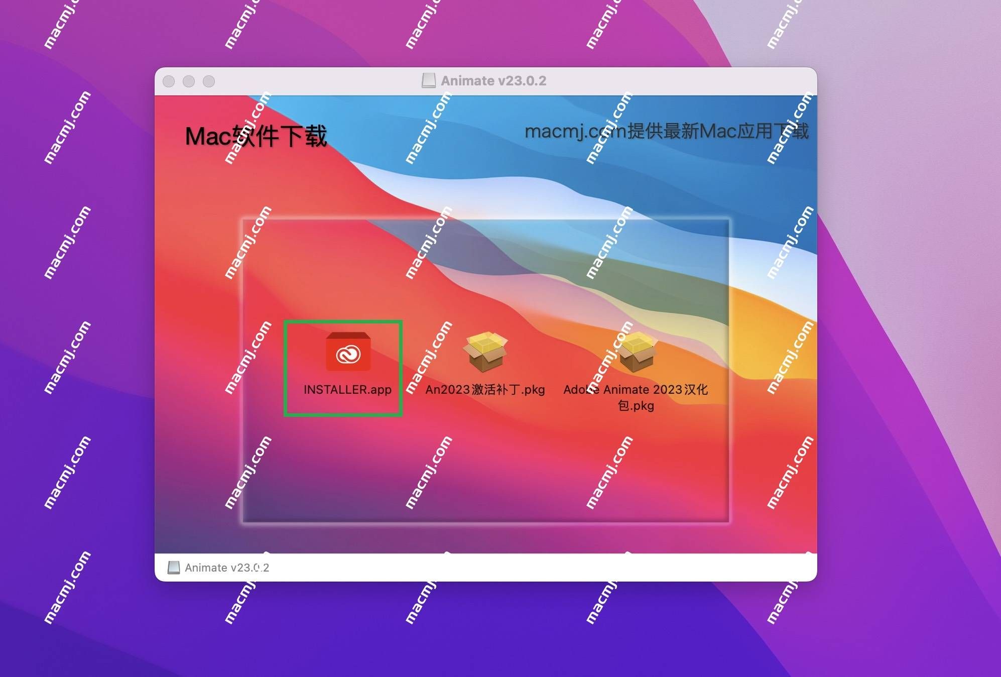 Animate 2024 for mac(An2024下载)