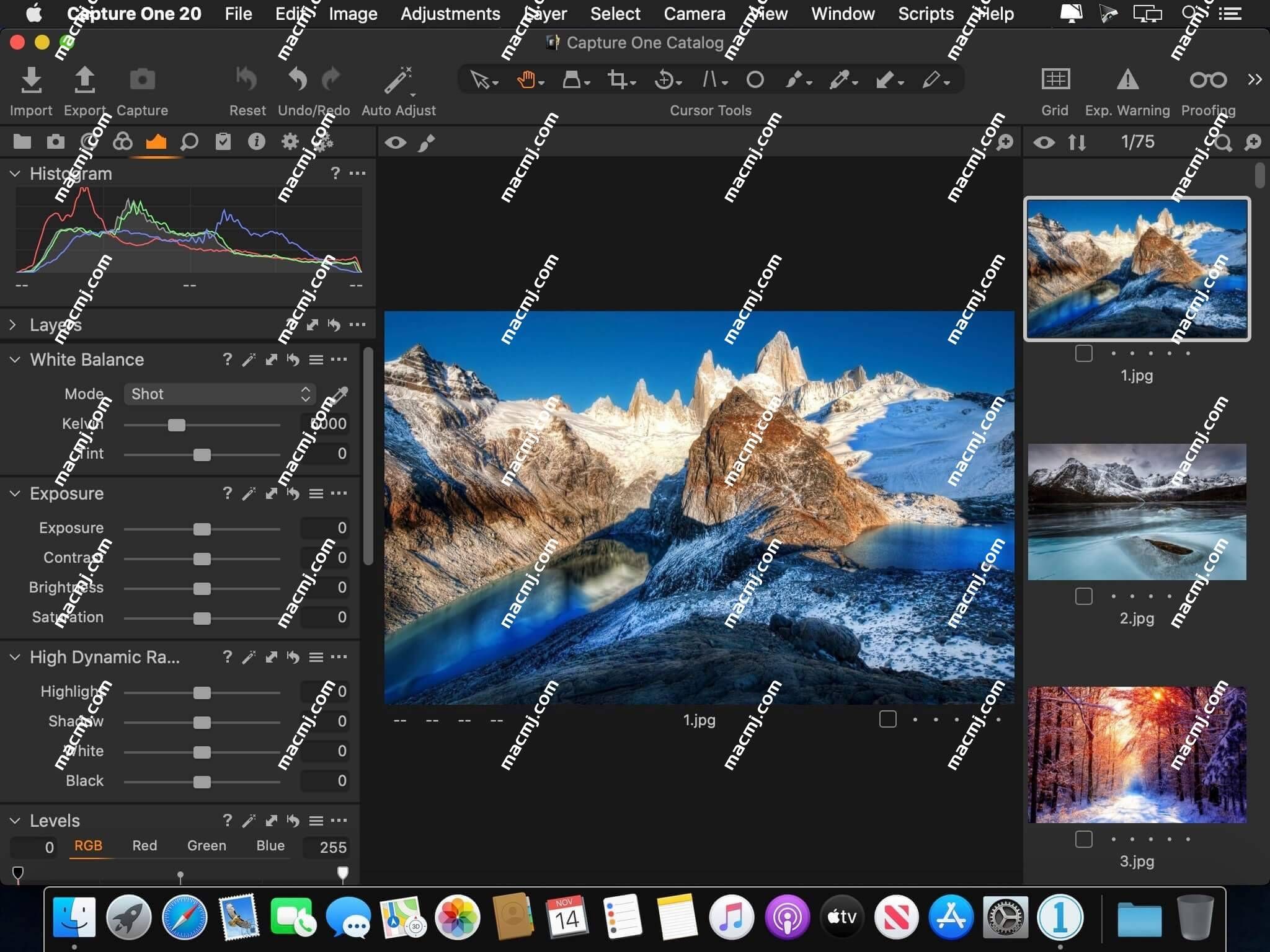 Capture One 23 Pro for mac(RAW转换和图像编辑工具)中文专业版