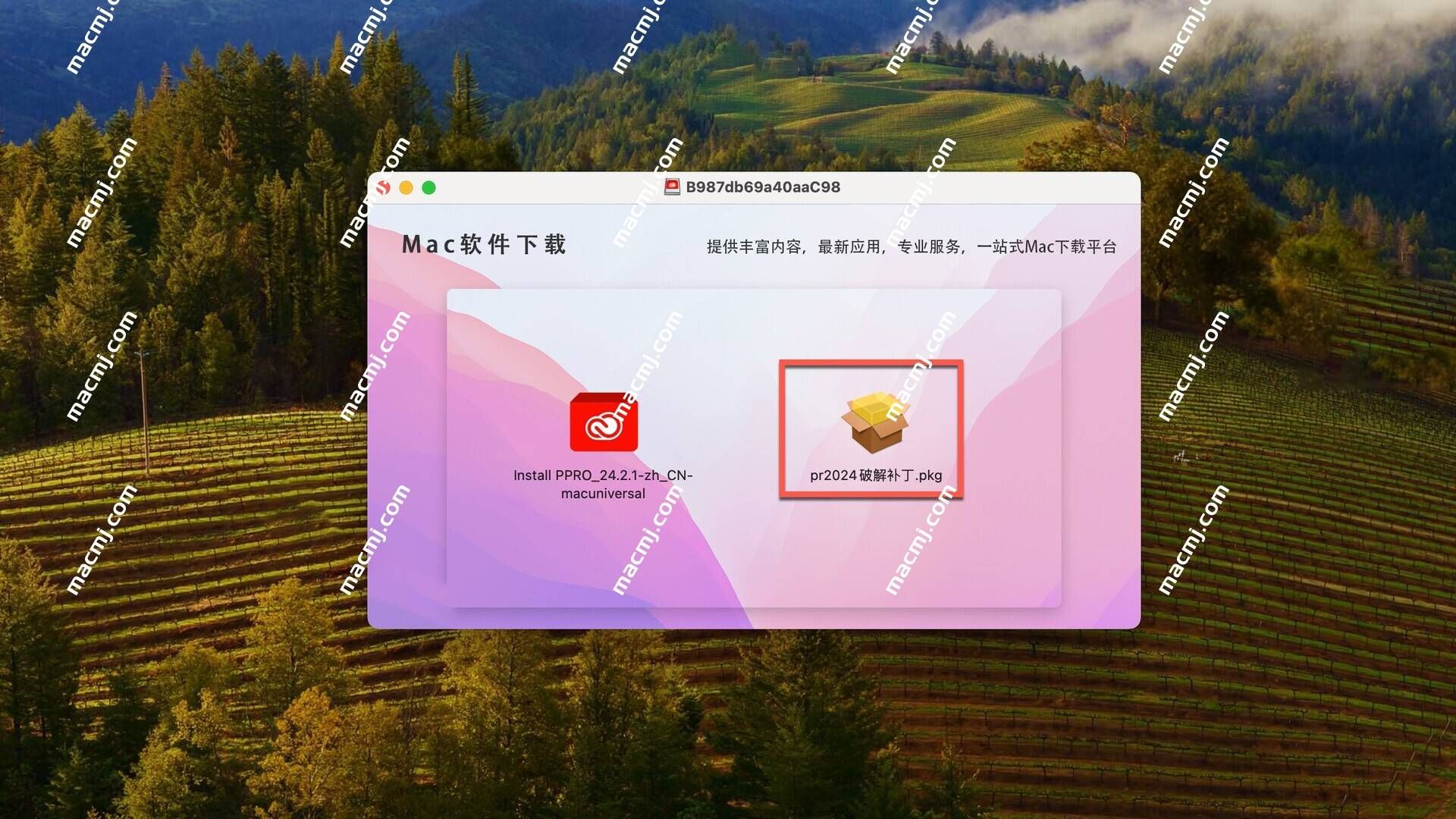 Premiere Pro 2024 for Mac(PR 2024视频编辑软件)