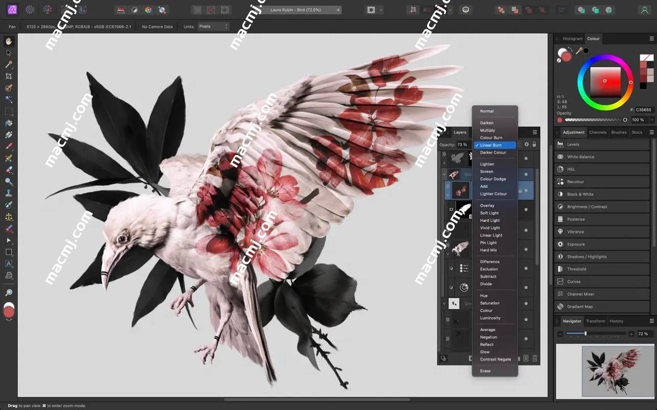 Affinity Photo for Mac(修图软件)