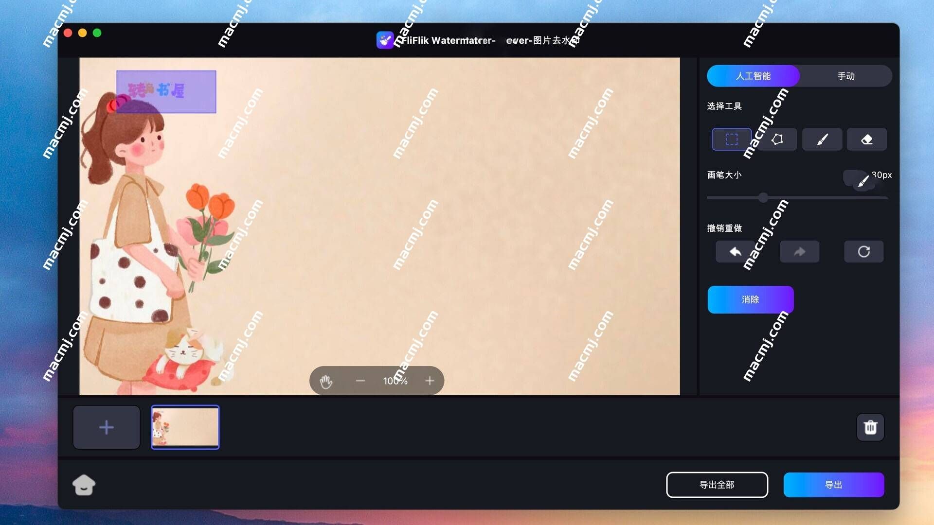 FliFlik Watermark Remover for Mac(去水印工具)