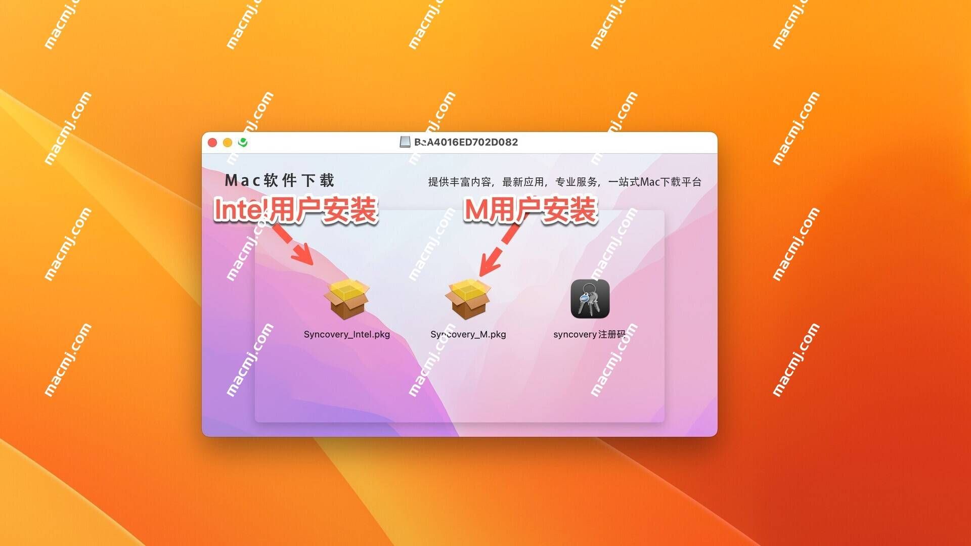 Syncovery 10 for mac 文件备份和同步工具