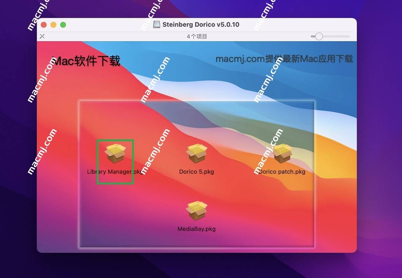 Steinberg Dorico Pro for mac(乐谱编写软件)