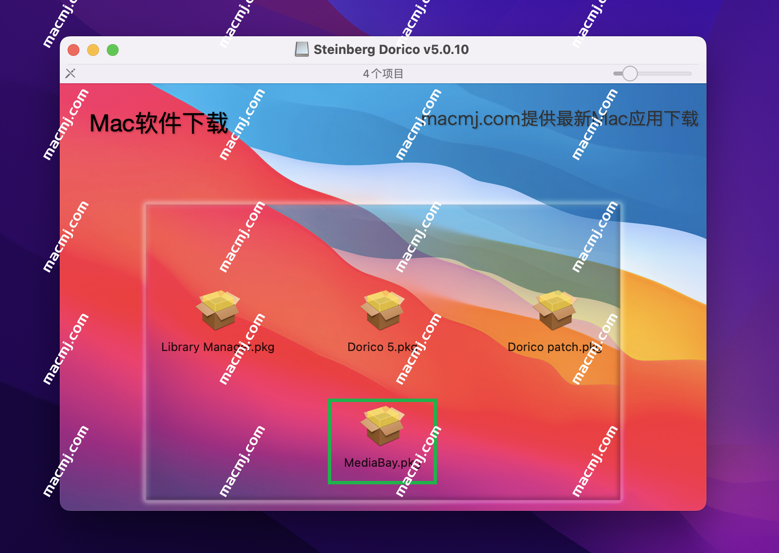 Steinberg Dorico Pro for mac(乐谱编写软件)