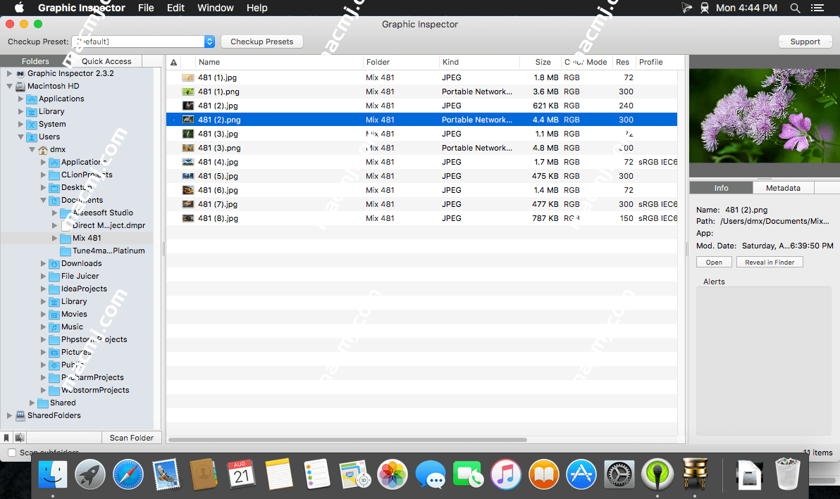 Graphic Inspector for mac(mac图像检查器)
