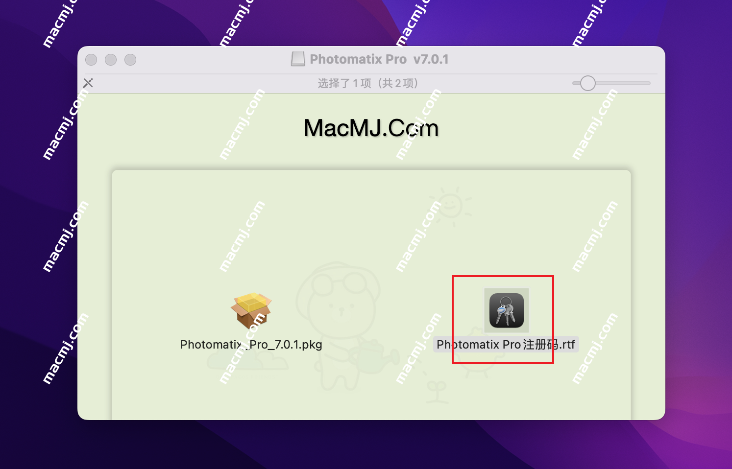 Photomatix Pro for Mac(专业HDR图像处理软件)