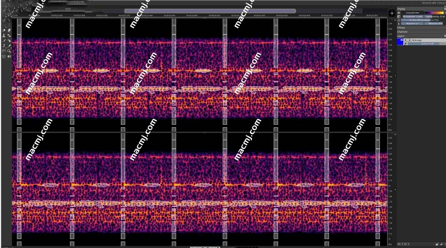 Steinberg SpectraLayers Pro for mac(高级光谱编辑和修复工具)